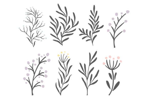 Botanical Branches Set: Premium Graphics & Illustrations for Modern Brands