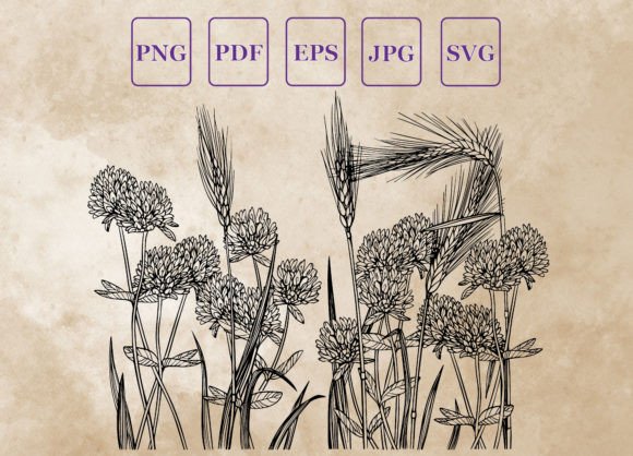 Clover and Wheat: Graphics & Illustrations for Modern Publishing