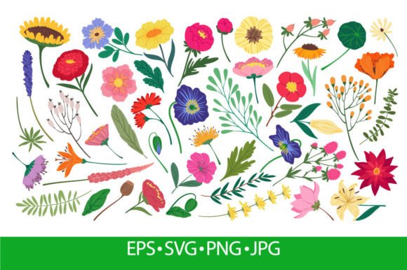 Cute Spring Flowers and Leaves, Botanica: A Fresh Graphics and Illustrations Review