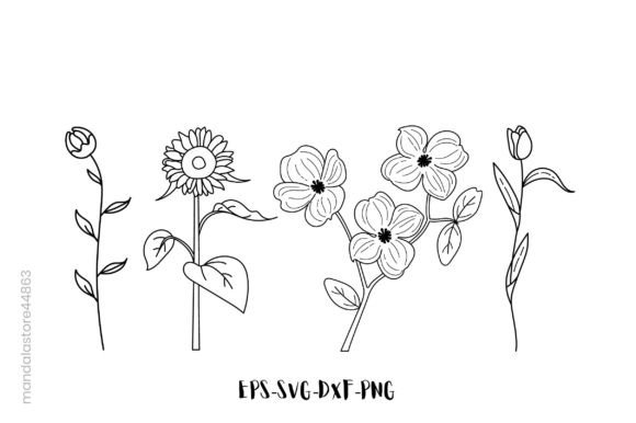 Flower Line Art Graphics for Modern Illustrations
