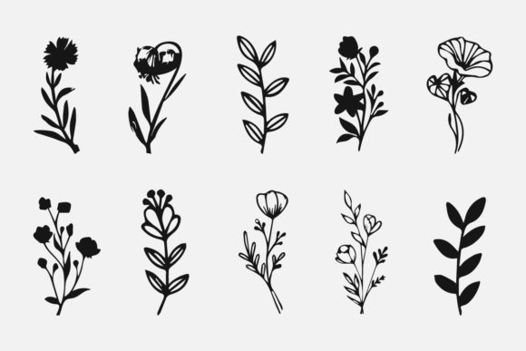 Flowers and Plant Line Art Illustration for Branding and Marketing