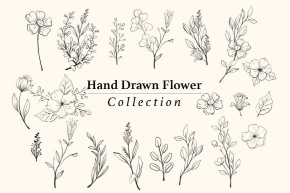 Hand Drawn Flower Collection Decoration: Graphics & Illustrations for Publishers