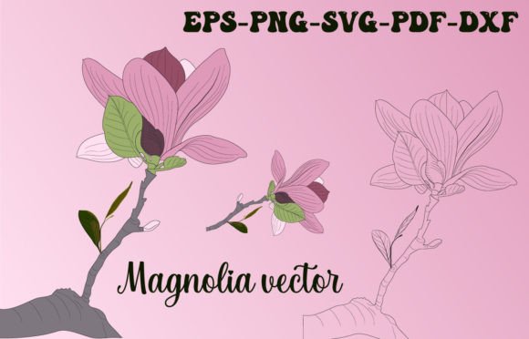 Magnolia Pink Vector Art for Graphics and Illustrations