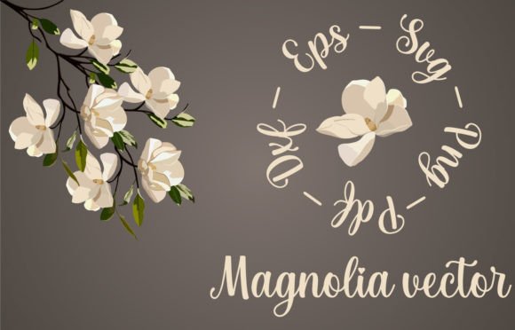 Magnolia Vector Art: Premium Graphics for Handmade Creators