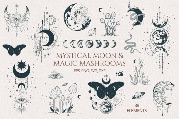 Mystical Moon Magic Mushrooms Set: Graphics for Editorial & Illustrations