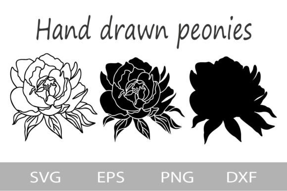 Peonies SVG Outline: Fresh Graphics for Illustrations