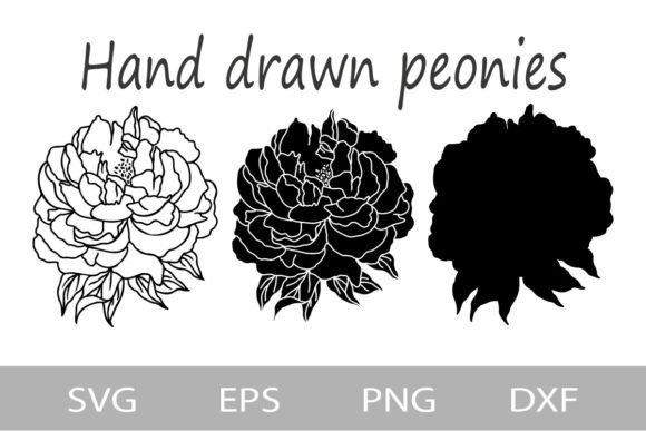 Peonies SVG Outline: Premium Graphics & Illustrations for Sellers