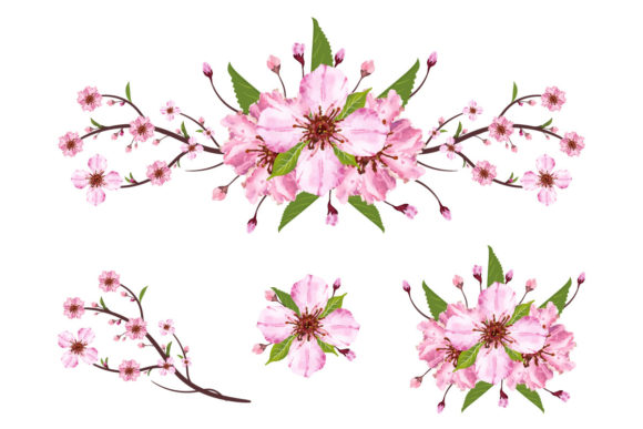 Sakura Cherry Blossom Branch: A Review of Fresh Graphics and Illustrations for Publishers