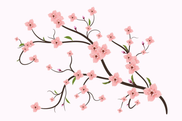 Sakura Cherry Blossom Flower Painting: A Review of Graphics and Illustrations for Publishers